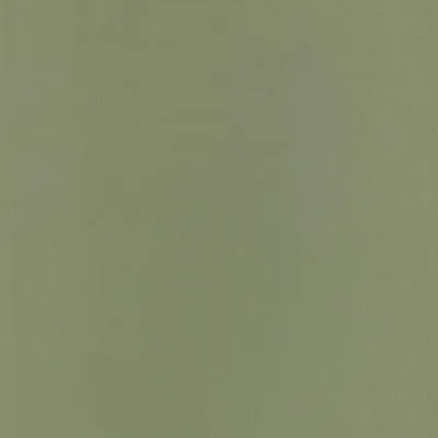 CELINO FERN thumbnail 3