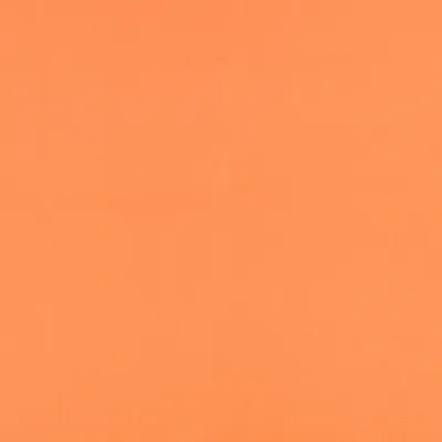 CELINO KOI thumbnail 3