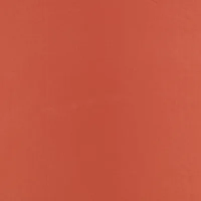 CELINO PIMENTO thumbnail 3