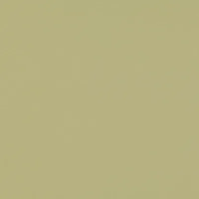 CELINO PISTACHIO thumbnail 2