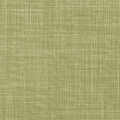 DUNE WILLOW thumbnail 2