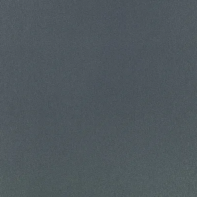 ELIO BLUEBERRY thumbnail 2