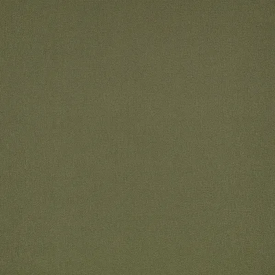 ELIO FERN thumbnail 3