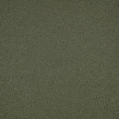 ELIO FERN — Elio swatch, view 1