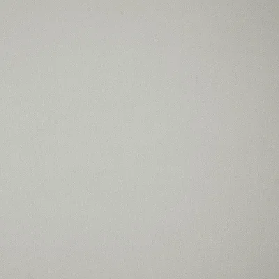 ELIO FOG thumbnail 2