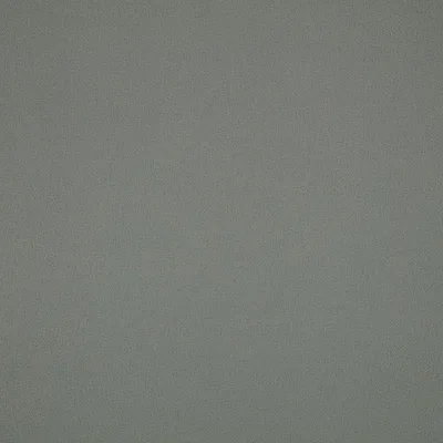 ELIO SPINACH thumbnail 2