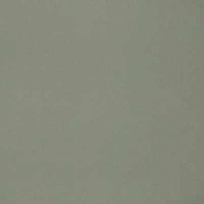 ELIO SPINACH thumbnail 3