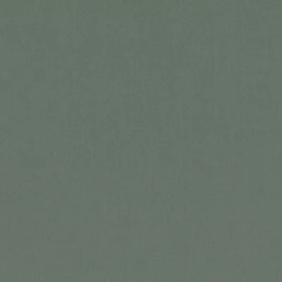 FORENZA AGAVE — Forenza swatch, view 1