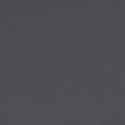 FORENZA CARBON thumbnail 2