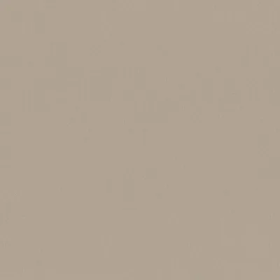 FORENZA CHAMOIS swatch