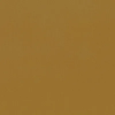 FORENZA CUMIN — Forenza swatch, view 1