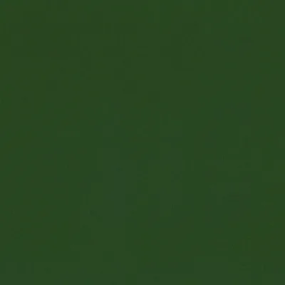 FORENZA FOREST thumbnail 2