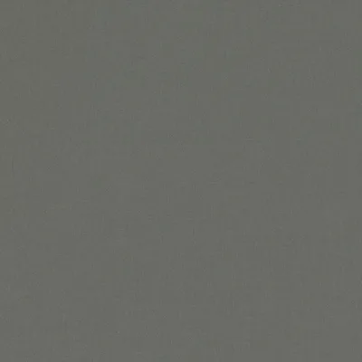 FORENZA GRANITE — Forenza swatch, view 1