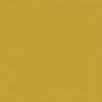 FORENZA MAIZE thumbnail 2