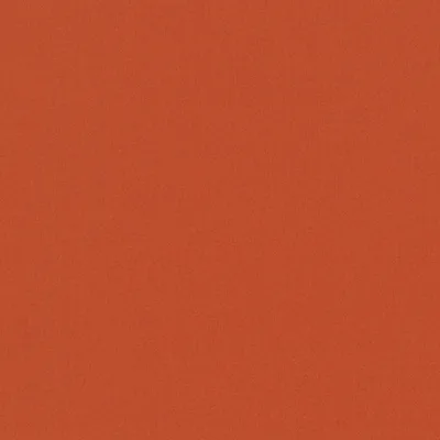 FORENZA PAPAVER thumbnail 2