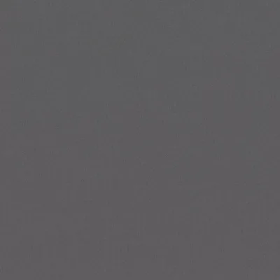 FORENZA THUNDER — Forenza swatch, view 1