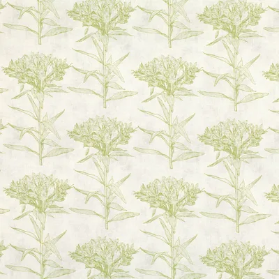 ORIANA CYPRESS swatch