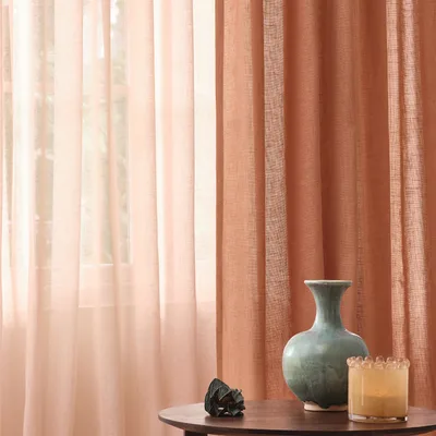 KORIFR HOYA thumbnail 3