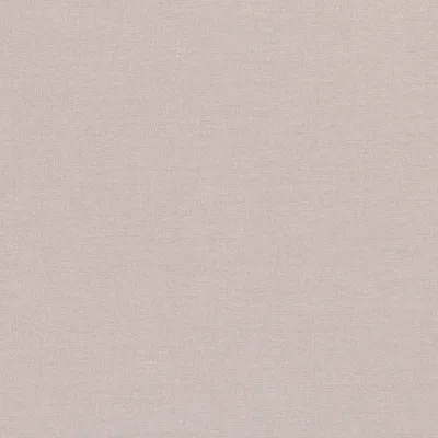 KARA ASH ROSE swatch