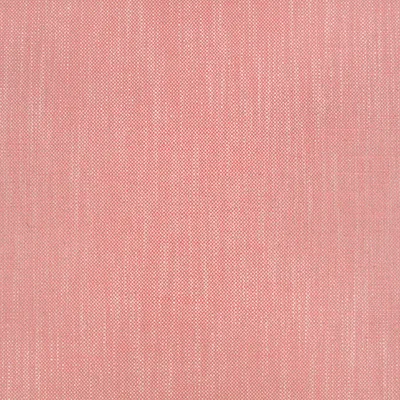 KENSEY GUAVA swatch