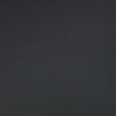 KYLO BLUEBERRY thumbnail 2