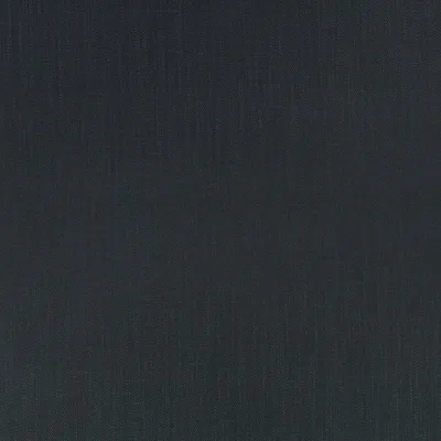 KYLO BLUEBERRY thumbnail 3