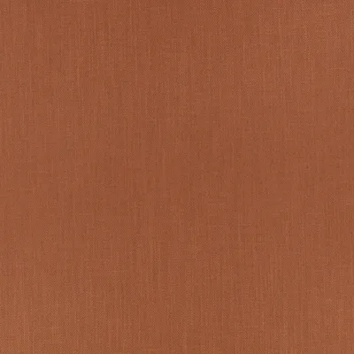 KYLO CAJUN thumbnail 3