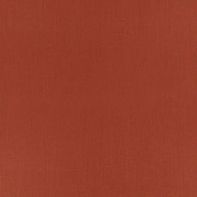 KYLO CHUTNEY thumbnail 3