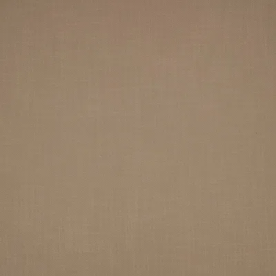 KYLO DRIFTWOOD — Kylo swatch, view 1