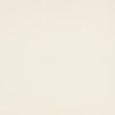 KYLO EGRET thumbnail 3