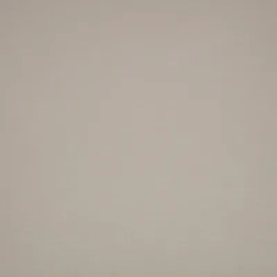 KYLO SILVER BIRCH swatch