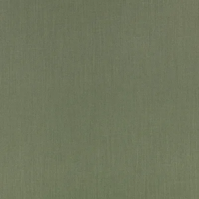 KYLO SPINACH thumbnail 3