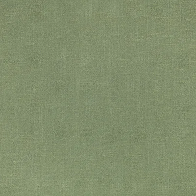 KYRI FERN thumbnail 2