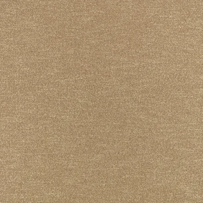 KYRI TAMARIND — Kyri swatch, view 1