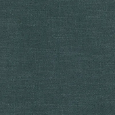 LEONI BATTLESHIP swatch