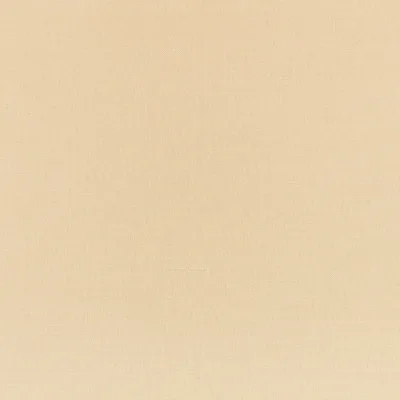 LINARA BUTTERBEAN — Linara swatch, view 1