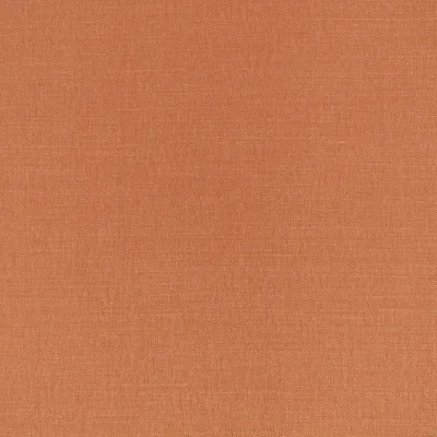 LINARA CAJUN thumbnail 3