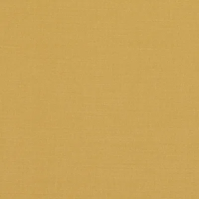 LINARA IORA — Linara swatch, view 1