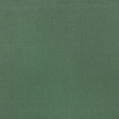 LINARA IVY thumbnail 3