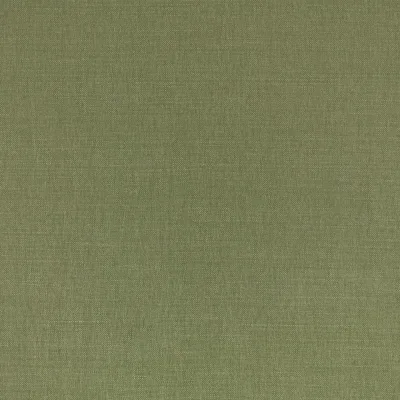 LINARA MOSS thumbnail 3