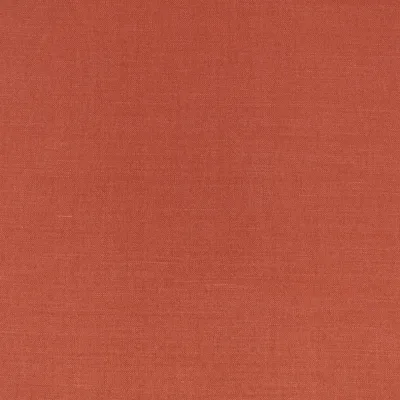 LINARA PIMENTO thumbnail 3