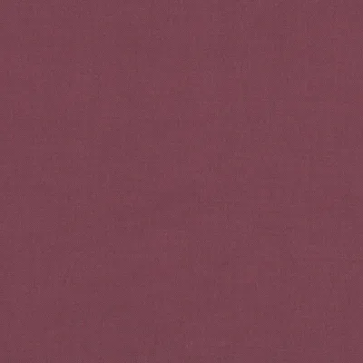 LINARA RADICCHIO thumbnail 2