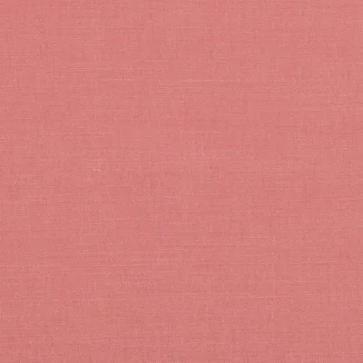 LINARA SORBET thumbnail 2