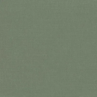 LINARA SPINACH thumbnail 2