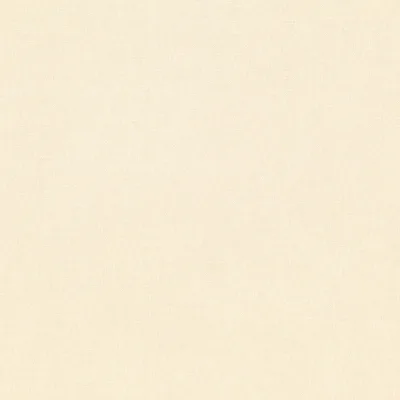 LINARA TAPIOCA thumbnail 2