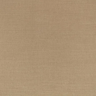 LINARA TAWNY thumbnail 3