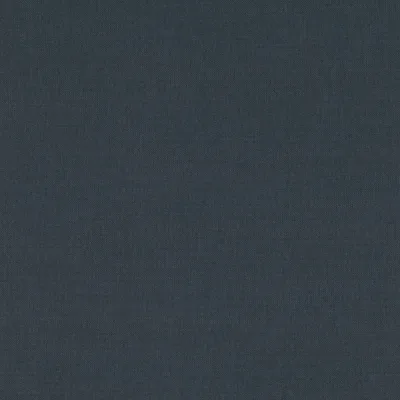 MIRO BLUEBERRY thumbnail 2