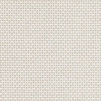 ITURI OAT thumbnail 2