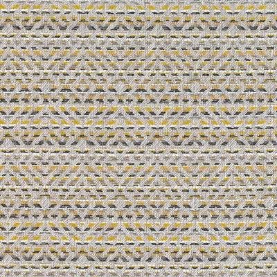 MOKOLO MAIZE thumbnail 2