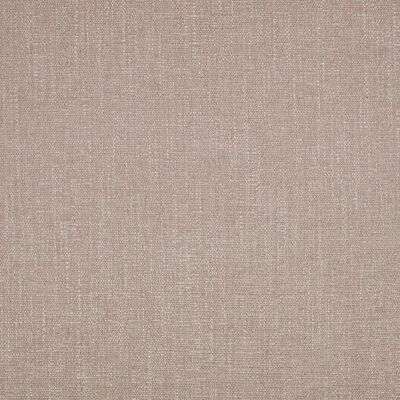 KELBY WILD ROSE swatch